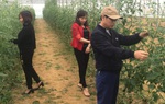 Vườn chuẩn giúp cảnh quan nông thôn đẹp và thân thiện với môi trường