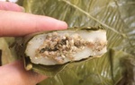 Độc đáo bánh trứng kiến mỗi năm thưởng thức 1 lần của người Sán Dìu