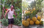Nghệ sĩ Giang Còi mát tay trồng cây, nuôi cá, nuôi gà như nông dân thứ thiệt ở nhà vườn 10.000m2 