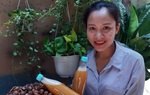 Chế biến xà phòng từ trái bồ hòn