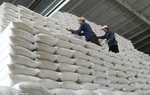 5 nhà thầu hủy gói cung cấp gạo nhập kho dự trữ quốc gia 