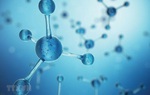 Dược phẩm Nano – Xu hướng phát triển mới không chỉ ở Việt Nam!