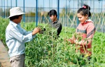 Hà Nội: Nông nghiệp, công nghệ, đầu tư công là mũi nhọn phát triển kinh tế thời Covid-19