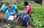 Trào nước mắt hình ảnh cán bộ y tế Hà Giang lên xã vùng biên dập dịch COVID-19