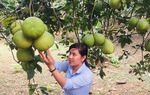 Phụ nữ Đồng Nai xây dựng nông thôn mới: Điểm nhấn từ "5 không 3 sạch"