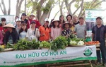Trồng rau hữu cơ bảo vệ sức khỏe, thân thiện môi trường