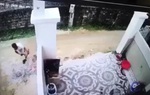 Tạm giữ tài xế lùi xe làm chết bé trai hơn 1 tuổi, xóa dấu vết rồi bỏ trốn 