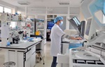 Thủ tướng yêu cầu xử lý sai phạm trong mua sắm vật tư y tế phòng chống dịch COVID-19