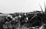 Những ca khúc phản chiến trong lòng nước Mỹ những năm 1960-1970
