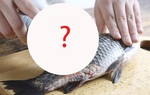 Đánh vảy cá đừng chỉ dùng dao, thêm một dụng cụ trong nhà sẽ nhanh, sạch không sợ đứt tay