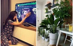 Nam Em trồng cây xanh khắp nhà mong bình yên nhưng bức tranh trên tường lại gây "sóng gió"