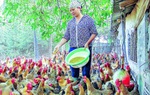 Thái Bình: Phụ nữ mạnh dạn, tự tin khởi nghiệp