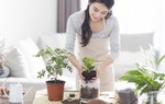 Cách giải tỏa căng thẳng trong mùa dịch COVID-19