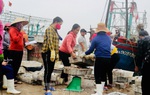 Ngư dân mang hàng tạ cá biển ủng hộ các khu cách ly tập trung 