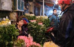 Test nhanh toàn bộ người bán hoa liên quan bệnh nhân 243