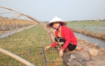 Thành công khi dám mạnh dạn và chịu học hỏi cái mới 