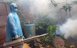 Xuất hiện các ổ dịch sốt xuất huyết, TPHCM tăng cường phòng tránh