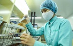 Thí nghiệm vaccine Covid-19 trên chuột tại Việt Nam hiện ra sao?