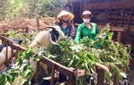 Phụ nữ Đắk Lắk đi đầu trong các phong trào xây dựng nông thôn mới