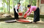 "Vườn ươm khởi nghiệp" hỗ trợ doanh nghiệp dân tộc thiểu số 