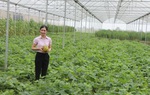 Khởi nghiệp từ nông nghiệp công nghệ cao