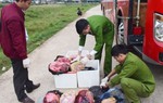 Hà Tĩnh: Bắt quả tang xe khách vận chuyển thịt, nội tạng động vật hôi thối