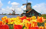 Amsterdam có những ngôi nhà 'ngà ngà say'