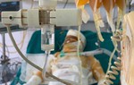Tận cùng nỗi đau của gia đình người phụ nữ bị tẩm xăng đốt