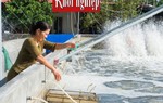 TYM mở rộng địa bàn hoạt động, tăng cơ hội tiếp cận nguồn vốn vay cho phụ nữ