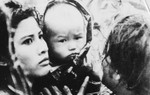 Sức sống mãnh liệt từ 'Cánh đồng hoang'