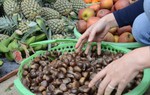 Đủ thứ hấp dẫn ở chợ Tết Trùng Khánh 