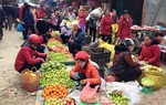 Đi tìm phiên chợ quê thời thơ ấu