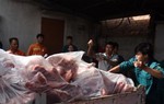 2 container thịt lợn tại cơ sở làm giò chả nhiễm dịch tả châu Phi