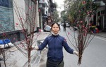 Hoa đào xuống phố giá cao