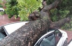 Bão quật đổ cây cối, xe máy, thổi bay người ở Hà Nội