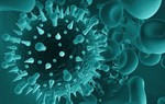 Loại virus gây bệnh 'nụ hôn tử thần' nguy hiểm như thế nào? 