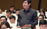 Xây đô thị thông minh hay đô thị… sống chậm?