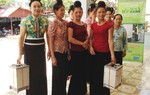 'Bếp xanh' trở thành vật dụng thân thiết với nhiều phụ nữ 