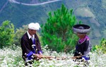 Tiếng khèn Mông dệt bao chuyện tình đắm say