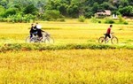 Thung lũng Mai Châu nơi lý tưởng để sống chậm 
