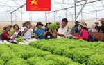 Hội chợ kết nối hàng nông sản an toàn thực phẩm do phụ nữ sản xuất
