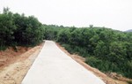 Cháu Phó Giám đốc Sở cũng được chia đất rừng