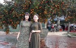 Nườm nượp khách đến xem cây quýt cổ thụ giá trăm triệu ở Vinh