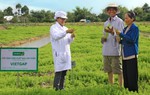 UNIBEN hỗ trợ nông dân thực hiện VietGAP, sản xuất rau an toàn, hướng tới phát triển vùng nguyên liệu sạch