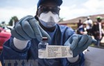 Phát hiện ra một chủng virus Ebola mới tại Sierra Leone