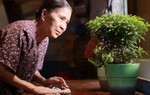 NSƯT Kim Xuân giấu bí mật trong phim "Có căn nhà nằm nghe nắng mưa"