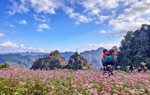 "Bản tình ca từ đá" - chủ đề Lễ hội hoa tam giác mạch 2017