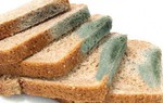 Mối nguy hiểm ít biết của nấm mốc với sức khỏe