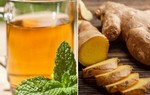 Cách tránh say tàu xe bằng thảo dược khi đi du lịch