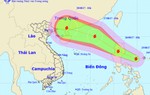 Xuất hiện cơn bão mới
